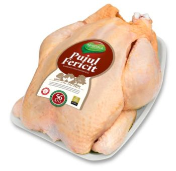 AGRICOLA PUIUL FERICIT KG