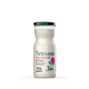 ARTESANA IAURT DE BAUT 350 ML