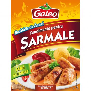 GALEO CONDIMENT SARMALE 20G