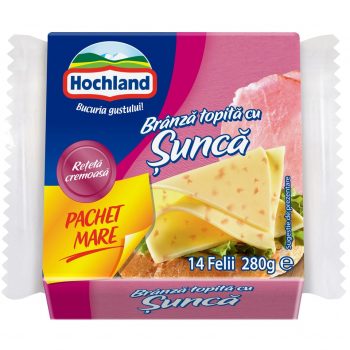 HOCHLAND BRANZA TOPITA FELII SUNCA 280G