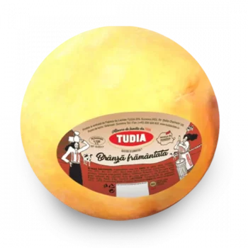 TUDIA BRANZA FRAMANTATA IN BURDUF KG