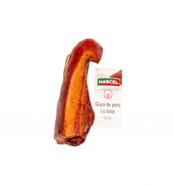 MARCEL GUSA CU BOIA VID