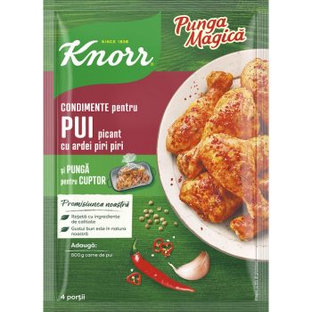 KNORR PUNGA MAGICA PUI PICANT CU ARDEI PIRI PIRI 29G