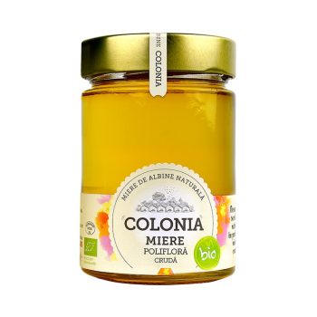 COLONIA MIERE POLIFLORA BIO 420G