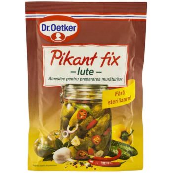 DR. OETKER PIKANT FIX IUTE 100G
