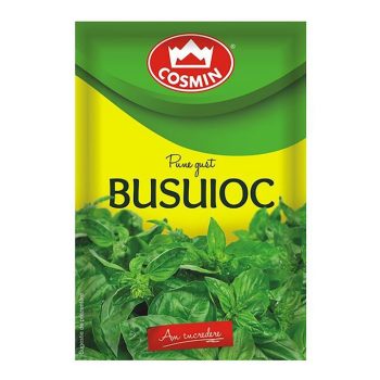 COSMIN BUSUIOC 8G