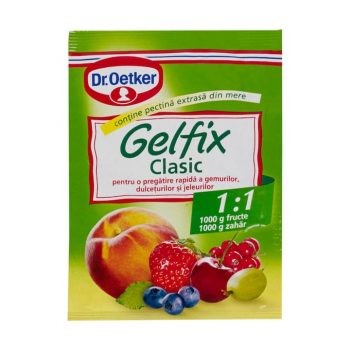 DR. OETKER GEL FIX CLASIC 1:1 20G