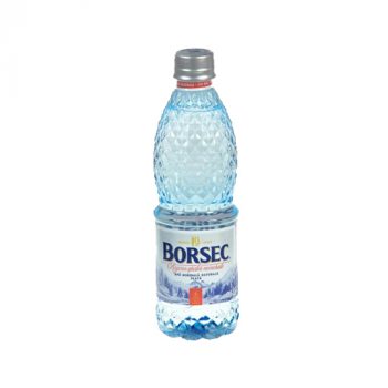 BORSEC NATURAL STILL MINERAL WATER 500ML